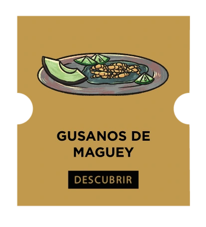 Gusanos de Maguey